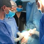SJU Bacău – centru regional pentru tratarea traumatismelor ortopedice complexe